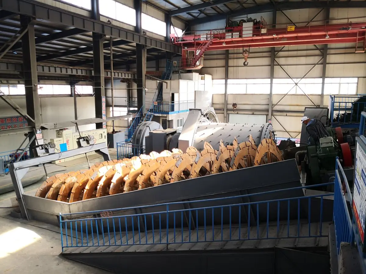 山東省の3000 TPD ゴールドフローテーションプロジェクト – プロ