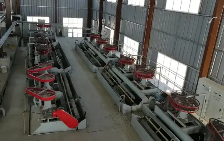 3000 TPD Phosphate Beneficiation Plant in Morocco