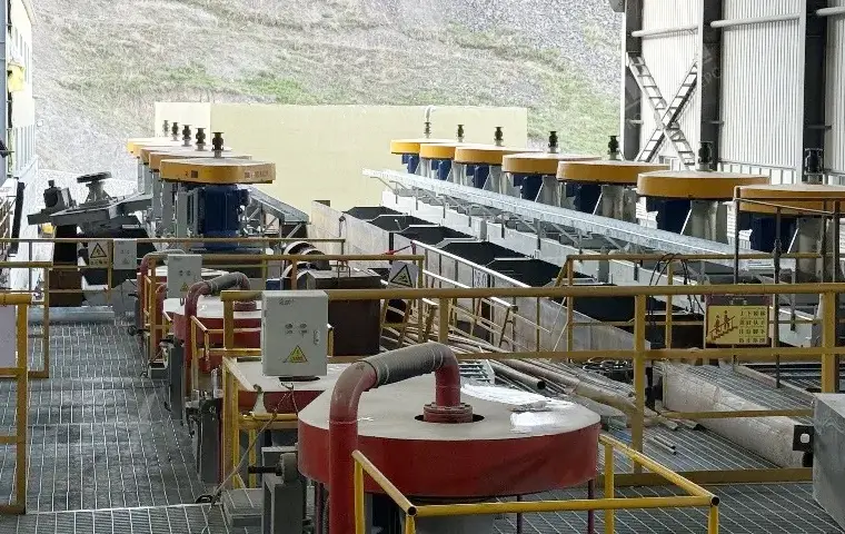 1500 TPD Gold Flotation Plant in Bogutu
