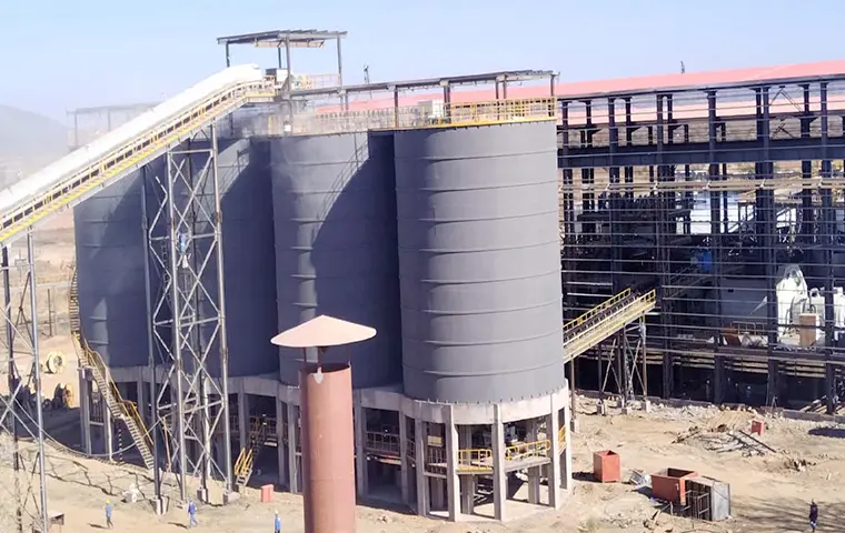 1200 TPD Lithium Ore Flotation Plant in Zimbabwe